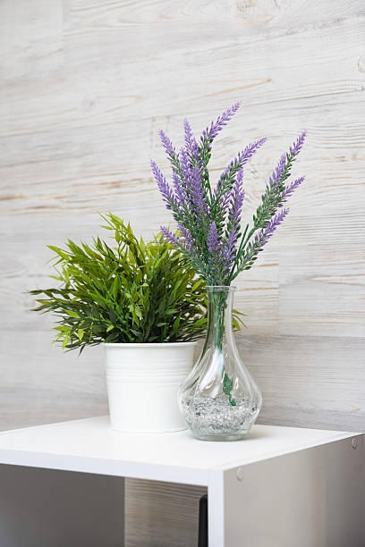 istock Lavender and Green Plant Decor on Shelf. 2215307566