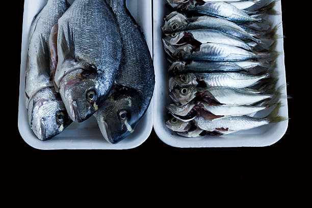 istock Cleaned horse mackerel in white foam 2215308233