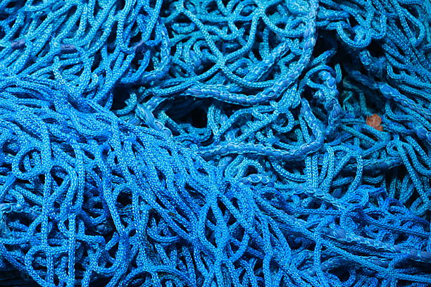 A blue and white rope with many knots. The rope is tangled