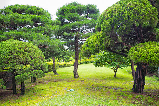 Seoul Cheongwadae Korea
