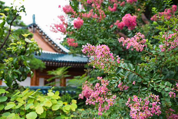 Seoul Cheongwadae Korea