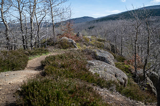 istock View over a cliff in the Harz Mountains 2215323349