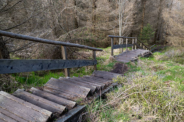 istock Wooden stairs in the forest 2215323511