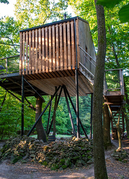 istock Modern wooden tree house in the forest. 2215324961
