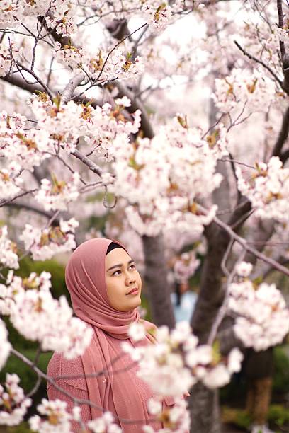 istock Cherry blossom viewing in Hokkaido, Japan. 2215325076