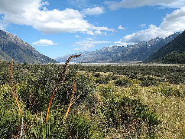 New Zealand mountains