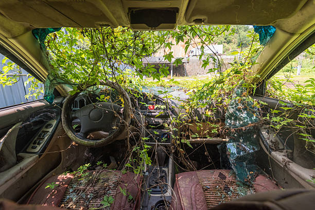 The interior of an abandoned vehicle surrounded by greenery