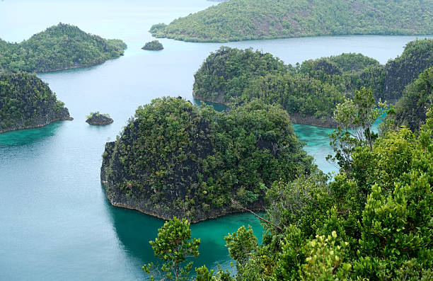 istock Karst islets view at Piaynemo, Raja Ampat, Indonesia 2215333187
