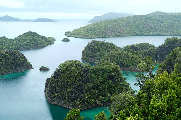 istock Karst islets view at Piaynemo, Raja Ampat, Indonesia 2215333231