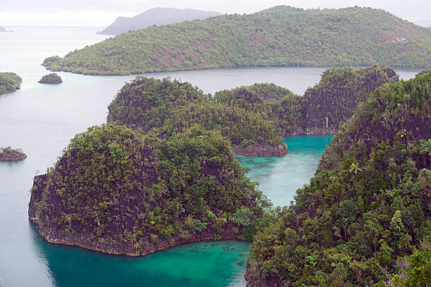 istock Karst islets view at Piaynemo, Raja Ampat, Indonesia 2215333239