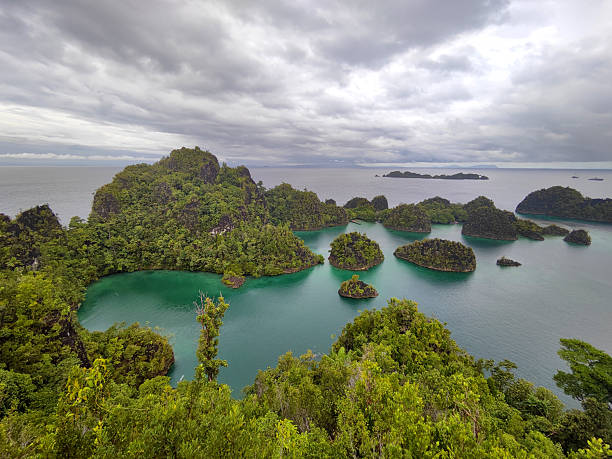 istock Panoramic view at Piaynemo, Raja Ampat, Indonesia 2215333384