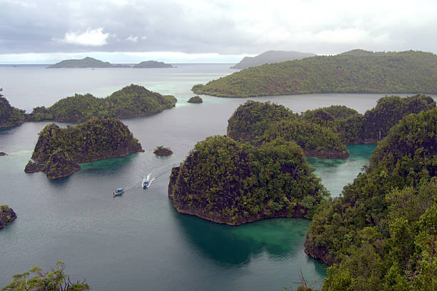 istock Panoramic view at Piaynemo, Raja Ampat, Indonesia 2215333484