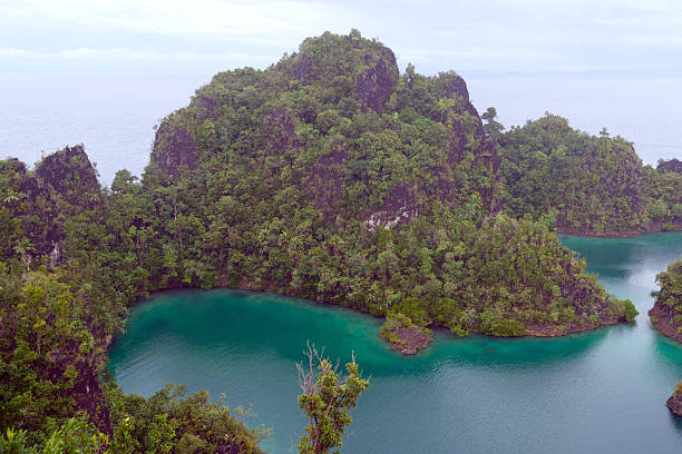 istock Panoramic view at Piaynemo, Raja Ampat, Indonesia 2215333575