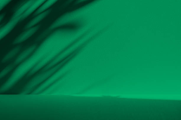 istock Studio style background wall decoration presentation uses white and green tones. with shadows cast from a nearby window, concept creating a decorative 2215337945