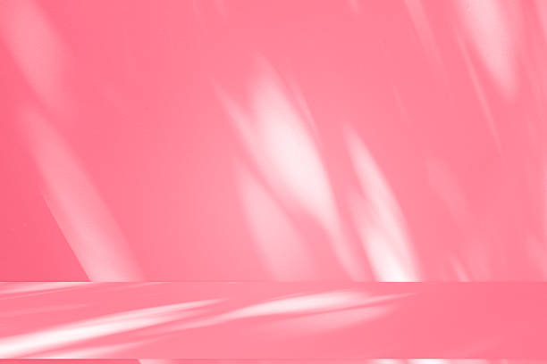 istock Wall interior background, studio, and backdrops show products. with shadow from window color white and pink light. background for text insertion and presentation of product 2215337967
