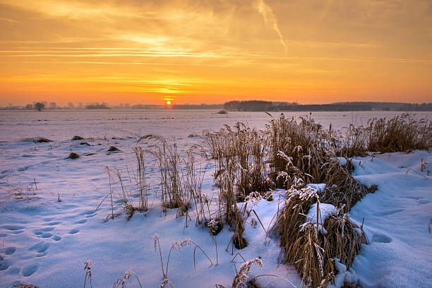 Beautiful winter sunrise over fields covered with snow