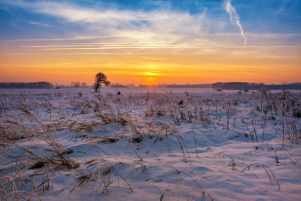 Beautiful winter sunrise over fields covered with snow