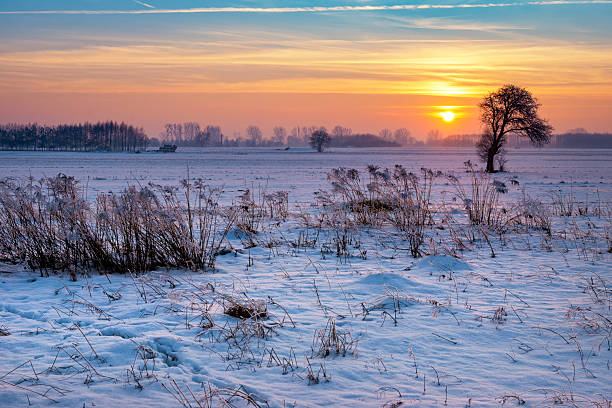 istock Beautiful winter sunrise over fields covered with snow 2215338406
