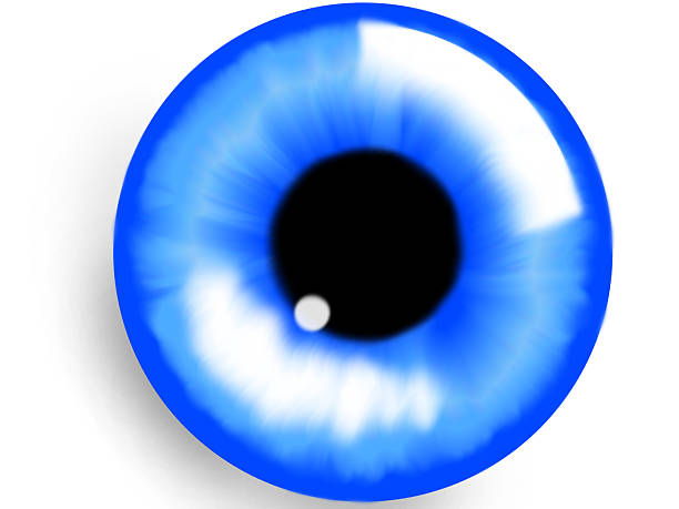 istock Illustration of a human blue iris. Dark blue or navy eye. Digital artwork creative graphic design. Copy space, flay lay. 2215339590