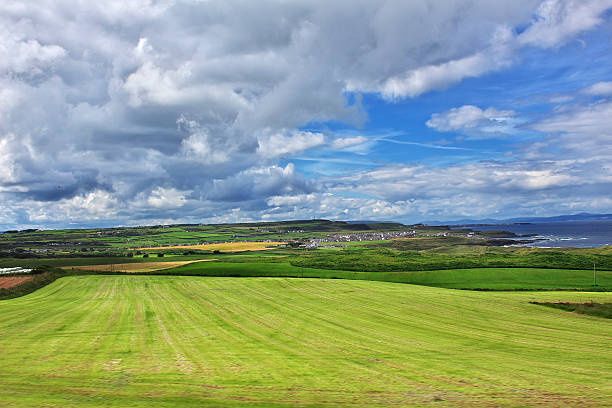 The view on green fields of Ireland