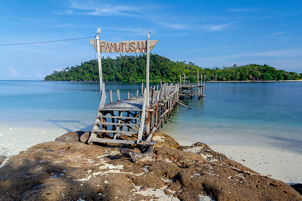 istock Wooden Pier 2215347169