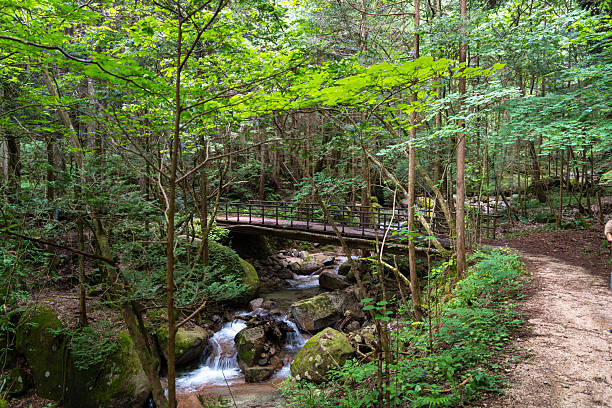 istock Bridge over the river on Nakasendo trail, Japan 2215353780