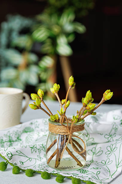 istock Jar with green buds and coffee cup in cozy spring interior 2215355589
