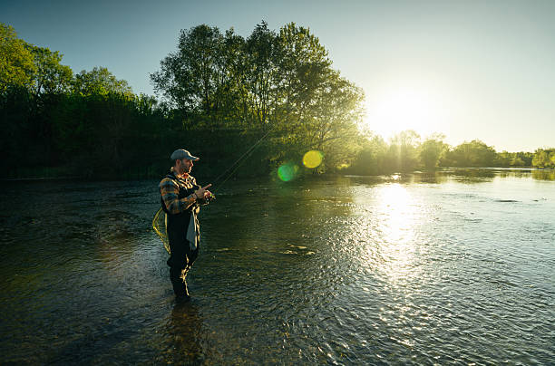 istock Fisherman enjoying fly fishing in river during evening light. 2215359399