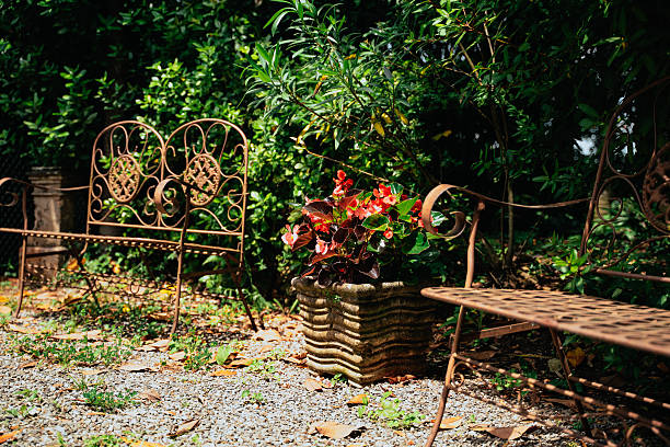 Rustic iron garden chairs surround a square stone pot filled with vibrant red flowers, set amidst a lush green backdrop, capturing a tranquil outdoor atmosphere.