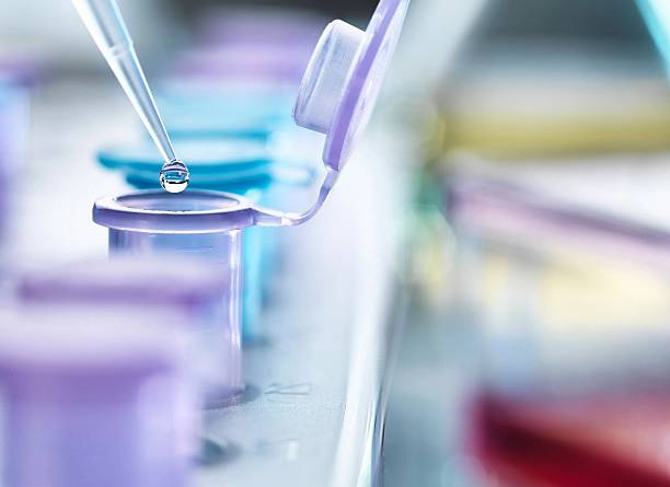 istock A close-up shot shows a pipette dripping liquid into a test tube for a lab experiment. 2215364575