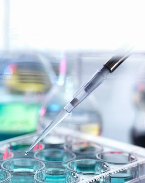 istock A precise pipette dispenses a liquid drop into a multi-well plate, a lab close-up scene. 2215364578