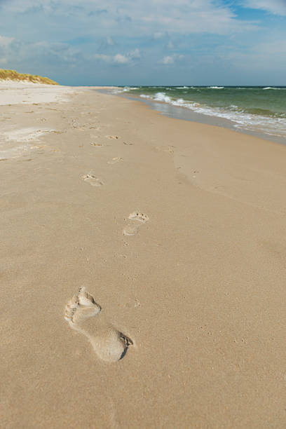 Footprints on empty beach in summertime. Sandhammaren beach in Skane, Sweden.