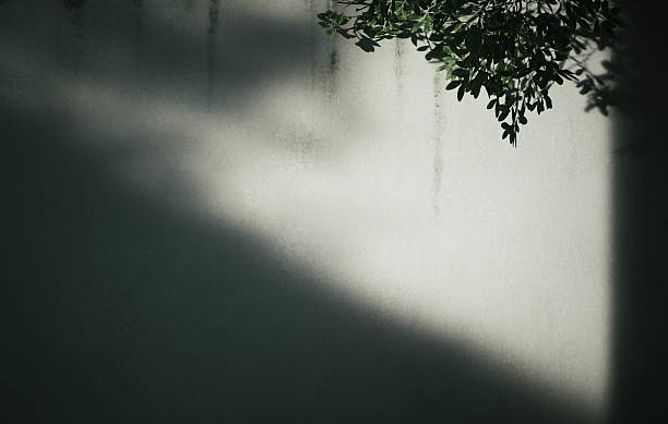 Exploring the interplay of Shadows and Natural Light on a Wall, an intriguing visual dynamic