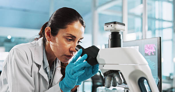 istock Scientist, woman and research with microscope at lab with sample, particles and test with pharma career. Person, gloves and equipment with process for medical innovation, vaccine and clinical study 2215368518