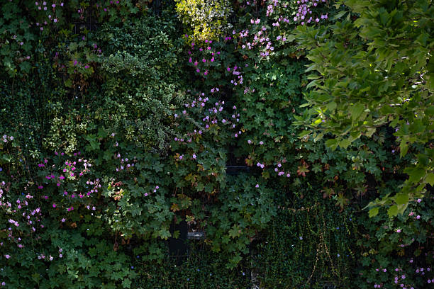 A textured vertical garden wall covered with a mix of flowering and trailing plants. Offers a lush, green aesthetic suitable for eco-architecture themes, sustainable design projects, and urban greening concepts.
