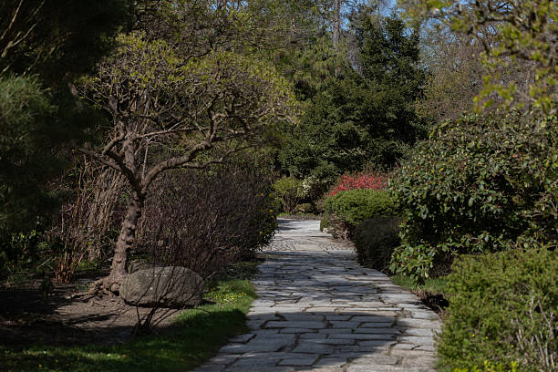 istock Stone Path in Tranquil Japanese Garden in Spring 2215371790