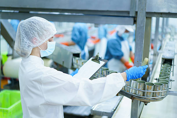 istock Quality control officer is randomly inspecting a raw materials in canned fish production facility. 2215372738