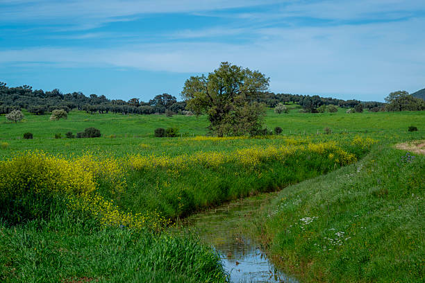 istock Spring landscape in Tuscany 2215375508