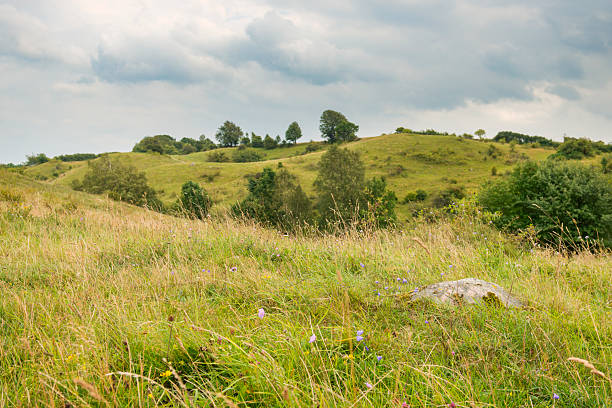 Famous place of Brosarps backar in Skane, Sweden.