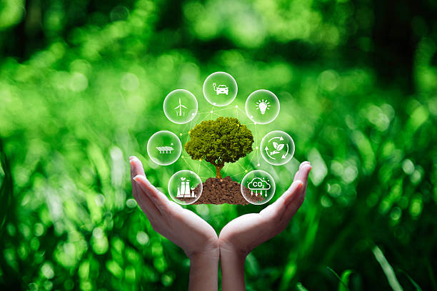 istock green energy concept help reduce global warming.
natural background green tree on hand , green energy icon around it. Carbon dioxide emission in industry net zero 2215385453