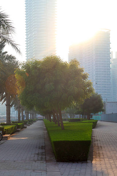 istock Early Morning in Dubai: A Serene Skyline Awash in Soft Light and Tranquil Atmosphere 2215399164