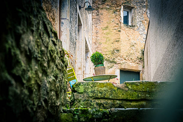 backyard in Luxembourg City
