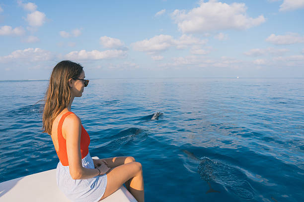 istock Young woman watches dolphins from boat 2215409971