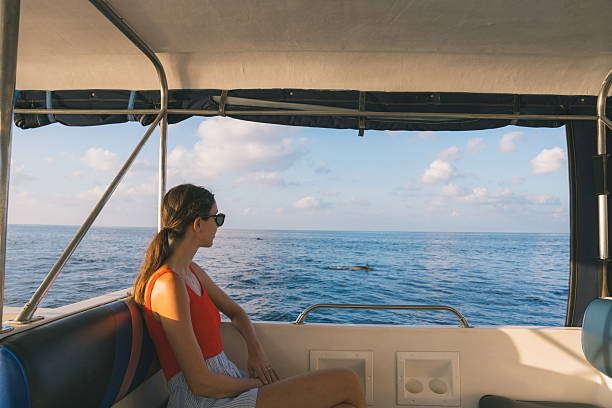 istock Young woman watches dolphins from boat 2215410085