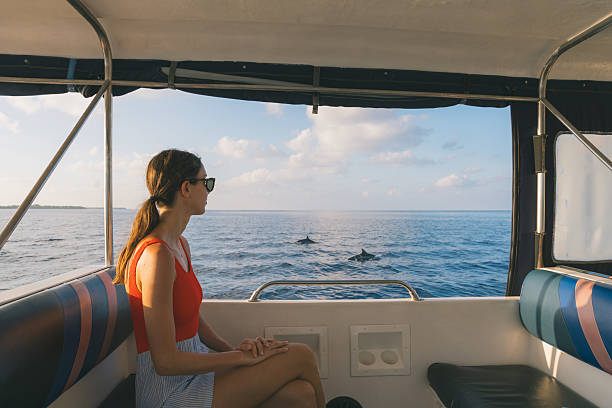 istock Young woman watches dolphins from boat 2215410106