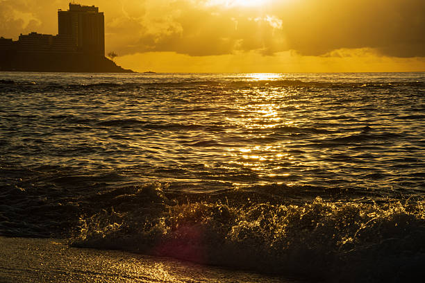 Beautiful sunrise in front of an Atlantic Ocean beach. Environment. Brazil