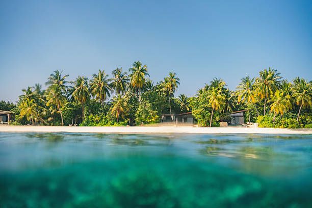 Split frame view of tropical lagoon and island, Maldives