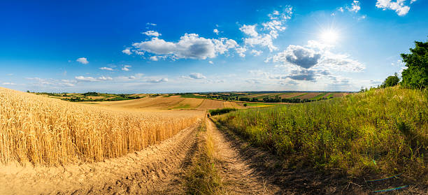 Panorama of beautiful cloudy sky over summer fields