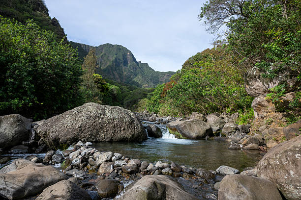 Waterfall cascades into clear pool, Iao Valley State Park, Maui