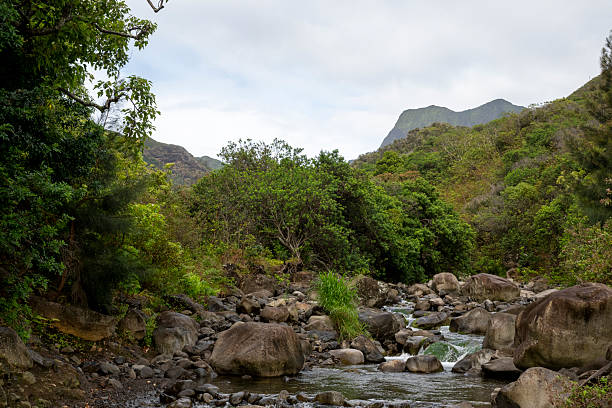 Waterfall cascades into clear pool, Iao Valley State Park, Maui